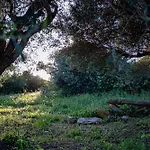 Bed & Breakfast Rena Majore Country Lampianu