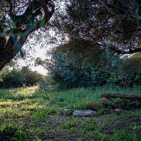 Bed & Breakfast Rena Majore Country Lampianu